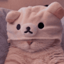 paw._.1
