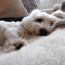 noriskk_nofun_'s Review #0