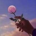 alwaystrey