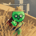 redwoodradical