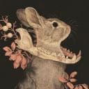 .monoceros.