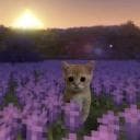 pixue1216