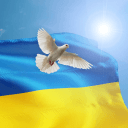 Friends-Ukraine-Support's server icon