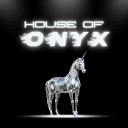 House of Onyx's server icon