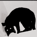 ᓚᘏᗢ-♡ ʜᴀᴜɴᴛᴇᴅ ᴋɪᴛᴛʏ ᴄᴜʟᴛ's server icon