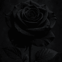Black Rose Promotions | Advertise・Growth・Social Media's server icon