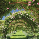 # | The Gardens . 💐's server icon
