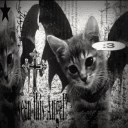 / @.𝖗𝖊𝖛!𝖛𝖊 ˗ˏˋ ★ ˎˊ˗ 18+'s server icon