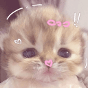 /cait  ♡ gws + chat + twitch's server icon