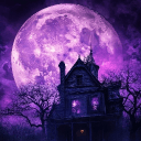 🎃 LunarNights 🕸 | Chill | Vibes | VC's server icon