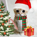 Chit chat community's server icon