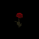 Sonder Place's server icon