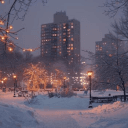 [ Qin City | 🎬[ Advertising ]'s server icon