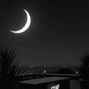 🌙 Moonlight Lounge🌙's server icon