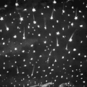 🎄Fallen Stars ❄