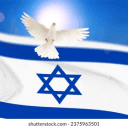 Friends-Israel-Support's server icon