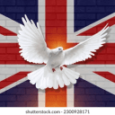 Friends-Great-Britain-Support's server icon