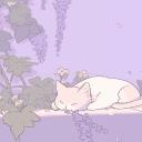 Kitty's Cozy World⋆🐾°