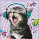 🐾 ₊˚ʚ 𝗦𝗜𝗟𝗟𝗬 𝗞𝗜𝗧𝗧𝗘𝗡𝗦 ɞ˚₊ 🐾's server icon