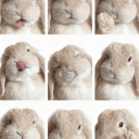 kittychan's server icon