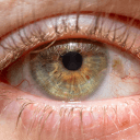 The Dark Room's server icon