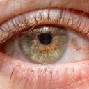 The Dark Room's server icon